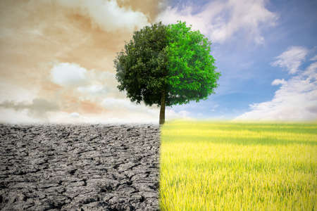 Climate change from drought to green growthの写真素材