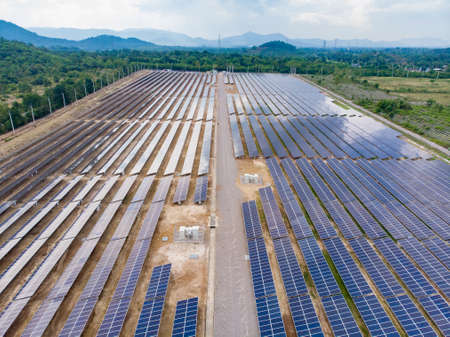 Top view of solar panels (solar cell) in solar farm with green tree and sun lighting reflect...