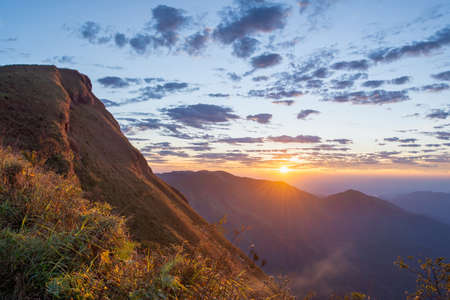 Beautiful landscape in the mountains at sunrise. View of foggy hills covered by forest, copy space for text.の写真素材
