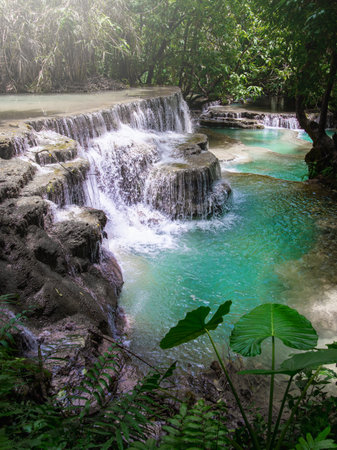 Waterfall in rain forest. (Tad Sae Waterfalls at Luang prabang, Laos, Kuang si waterfall: The beauty of nature.の写真素材