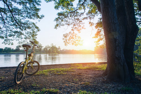 Bicycle parked beneath a tree on a sloping lawn with green and yellow vegetation, with the peaceful river water in the sunset in the background.の写真素材