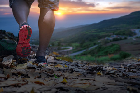Close-up of a hiker's legs walking along a mountain trail with fallen leaves, overlooking a valley...