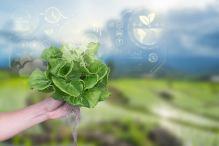 Person holding fresh hydroponic lettuce with digital agricultural and sustainability icons overlaid...