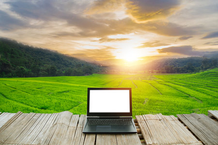 Laptop with blank screen on bamboo table overlooking green rice terraces and mountains at sunset. Concept for digital nomad and remote work.の写真素材