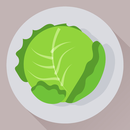 Vector flat cartoon style icon of green cabbageのイラスト素材