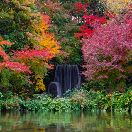 Waterfall in a park during autumn seasonの写真素材