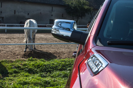 Rear view of a red car with a horse in the backgroundのeditorial素材
