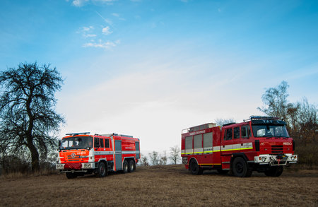 Fire engines at the scene of a forest fire.