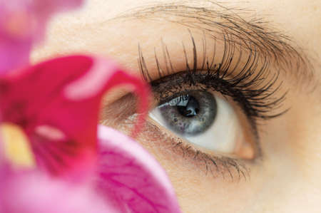 the macro image of the beauty eyeの写真素材