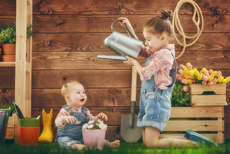 Cute children girls caring for her plants. Sisters watered flowers in pots. Spring concept, nature and care. Two little girls gardening in the backyard.の写真素材