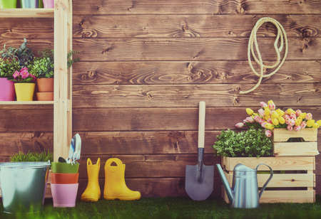 Gardening tools and on the grass in the backyard. Fresh flowers and plants in the spring.の写真素材