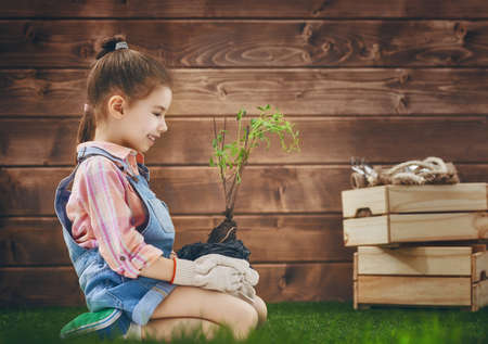 Cute little child girl cares for plants. Child holding seedling tree. Concept of spring, nature and care.の写真素材