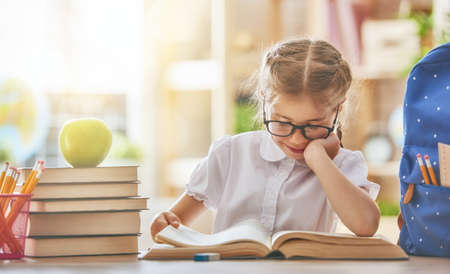 Back to school! Happy cute industrious child is sitting at a desk indoors. Kid is learning in class.