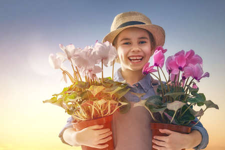 Cute little child girl with flowers in pots on sunset background. Fun little gardener. Spring concept, nature and care.の写真素材