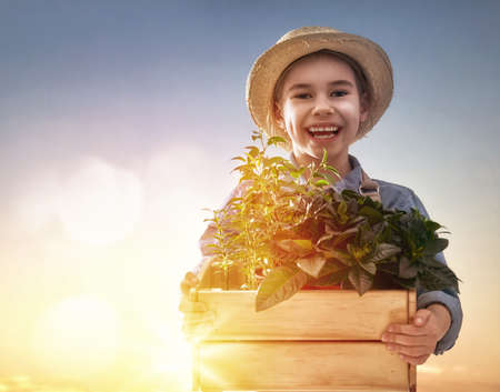 Cute little child girl with plants in pots on sunset background. Fun little gardener. Spring concept, nature and care.の写真素材