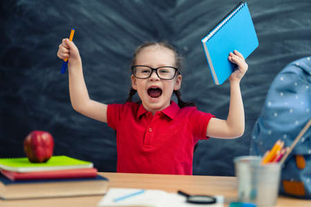 Back to school! Happy cute industrious child is sitting at a desk indoors. Kid is learning in class...