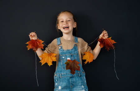 A child making an autumn decor garland of yellowed leaves. Autumn atmosphereの写真素材
