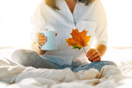 Happy young woman enjoying sunny morning on the bed.の写真素材