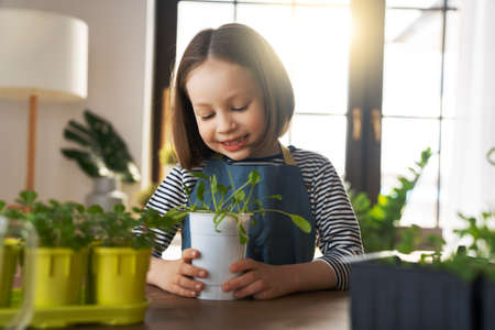 Cute child is caring for plants. Girl engaging in gardening at home. Happy kid in spring day.の写真素材