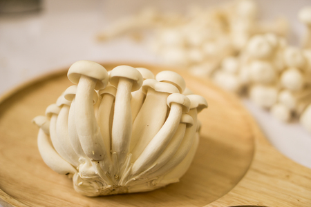 Shimeji is a group of edible mushrooms native to East Asia, but also found in northern Europe. Healty foods for diet people.の写真素材