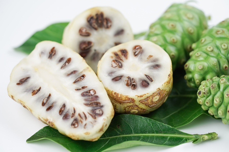 Noni or Morinda Citrifolia fruitsの写真素材