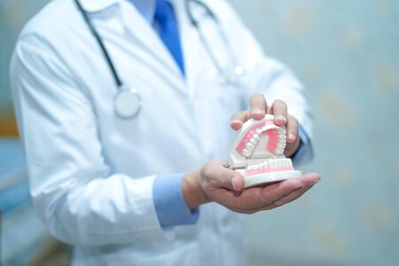 Asian man doctor orthodontic dental professional dentist oral hygienist holding perfect mouth teeth jaw model during a training presentation.の写真素材
