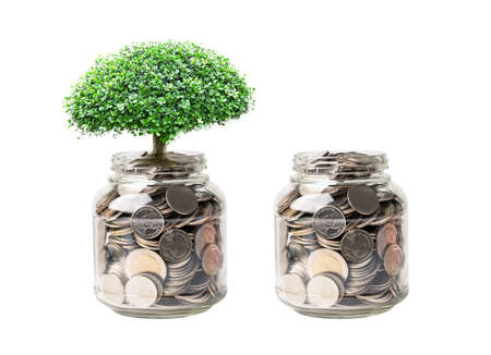 Tree on save money coins in grass jar, Business finance investment concept.の写真素材