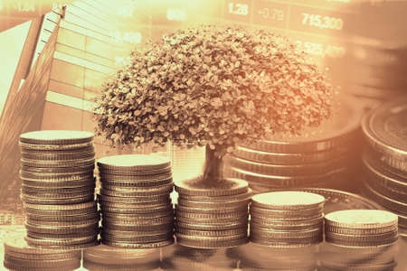 Gold tree on save money coins on stock market table, Business Forex investment trading financial concept.の写真素材