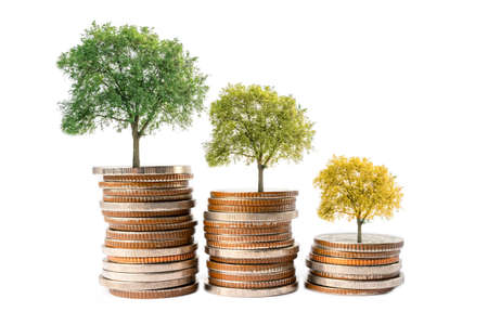 Save money tree and change color growing on stack coins, Business finance investment business...