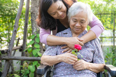 Caregiver daughter hug and help  Asian senior or elderly old lady woman holding red rose on wheelchair in park.の写真素材