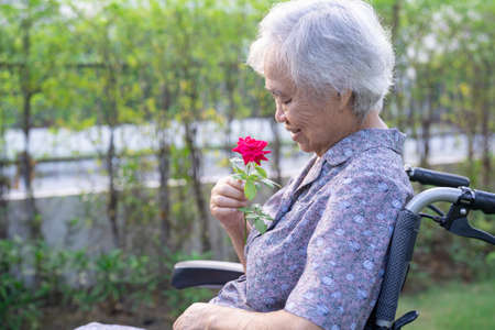 Asian senior or elderly old lady woman holding red rose, smile and happy on wheelchair in park.