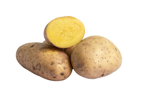 Potato isolate on white background.の写真素材