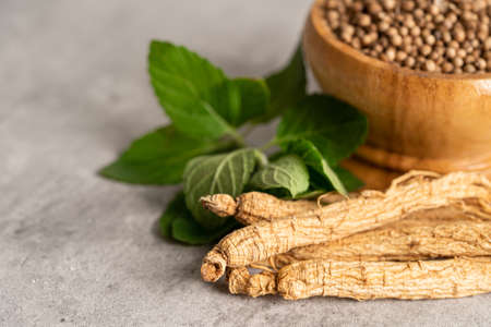 Ginseng, dried vegetable herb. Healthy food famous export food in Korea country.の写真素材