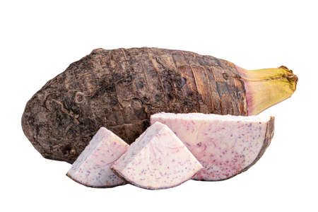 Taro or Colocasia esculenta and slice isolated on white background with clipping path.の写真素材