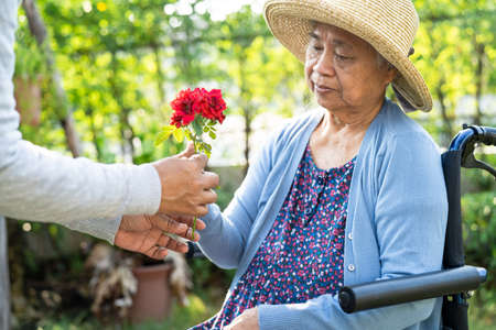 Caregiver daughter hug and help  Asian senior or elderly old lady woman holding red rose on wheelchair in park.の写真素材