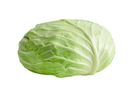 Cabbage vegetable isolated on white background.の写真素材