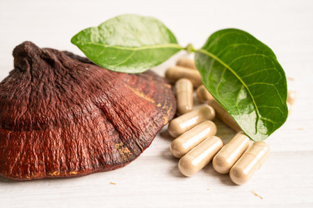Dried lingzhi mushroom with capsule drug, alternative medicine herbal organic herb.