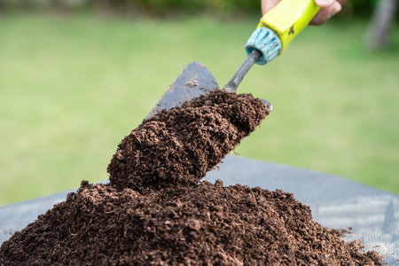 Hand holding peat moss organic matter improve soil for agriculture organic plant growing, ecology...