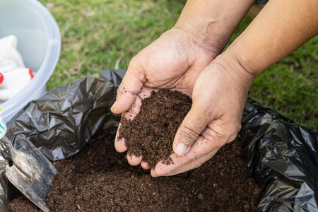 Hand holding peat moss organic matter improve soil for agriculture organic plant growing, ecology...