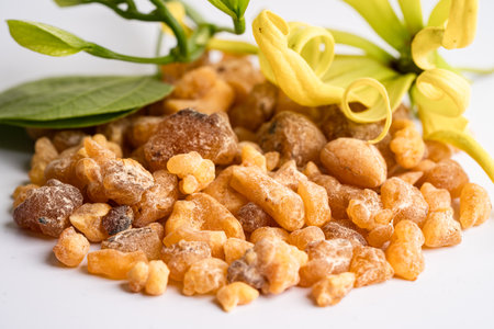 Frankincense or olibanum aromatic resin isolated on white background used in incense and perfumes.の写真素材