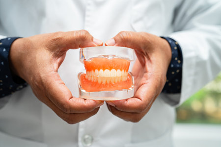 Denture, dentist holding dental teeth model to study and treat in hospital.