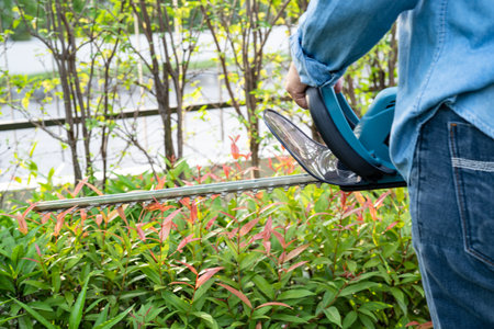Woman taking care and growing plants, Hobby planting home garden, ornamental pruning.