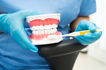 Asian dentist cleaning teeth of dental model with tooth brush for patient and studying about...