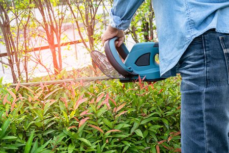 Woman taking care and growing plants, Hobby planting home garden, ornamental pruning.