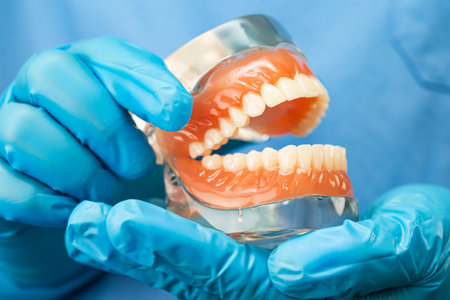 Denture, dentist holding dental teeth model to study and treat in hospital.