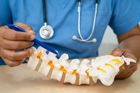 Doctor with lumbar vertebra bone skeleton and nerve model for treatment in the orthopedic...