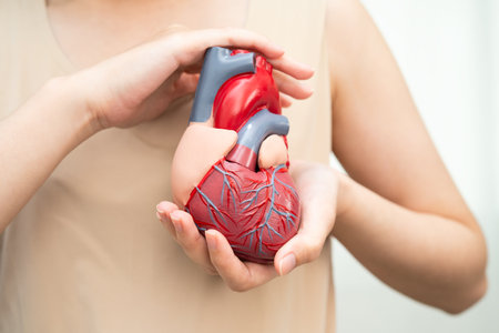 Cardiovascular disease CVD, Asian woman with heart human anatomy model.