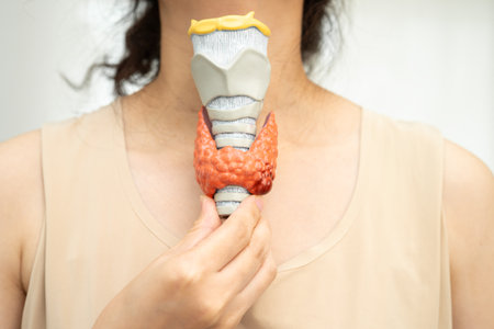 Hyperthyroidism, Overactive Thyroid, Thyroid Lymphoma, Asian woman with thyroid gland human anatomy model.の写真素材
