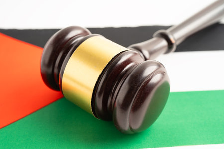 Palestine flag on Judge hammer, Law and justice court.の写真素材