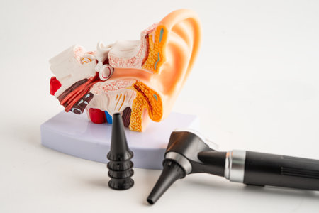 Otoscope with model for audiologist or ENT doctor use otoscope checking ear and treat hearing loss problem.の写真素材